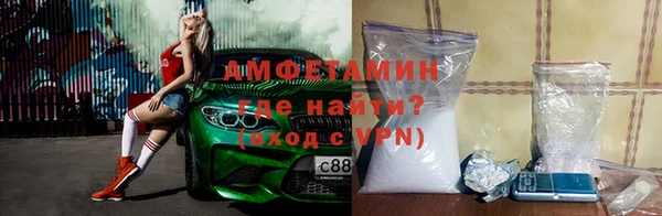 индика Вяземский