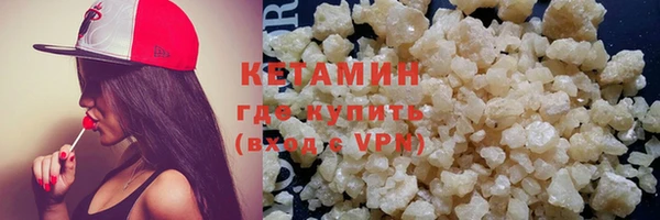 индика Вяземский
