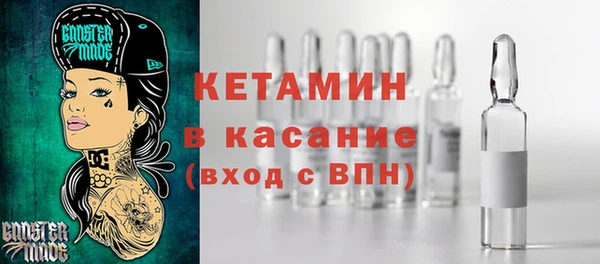 индика Вяземский