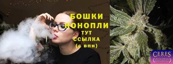 бошки Горнозаводск