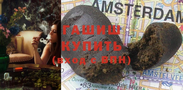 индика Вяземский