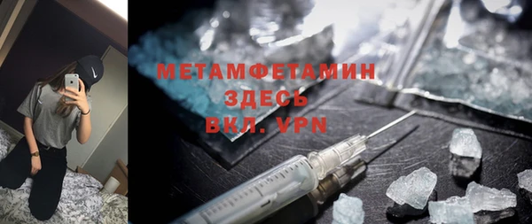 индика Вяземский