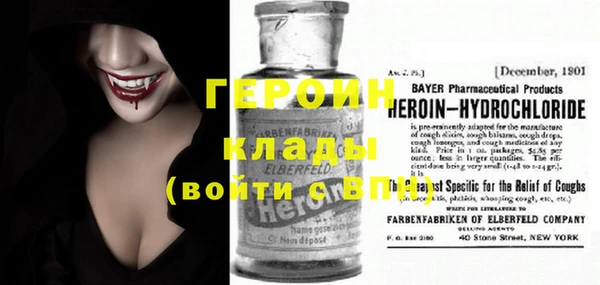 индика Вяземский