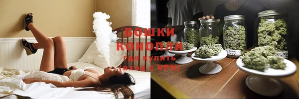 индика Вяземский
