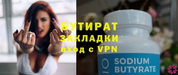 индика Вяземский