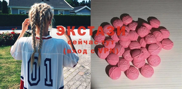 индика Вяземский