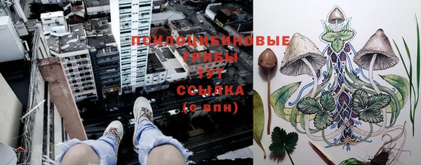 бошки Вязьма