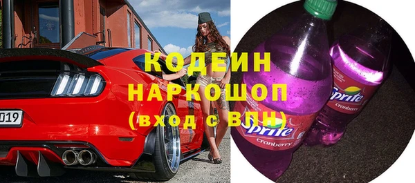 индика Вяземский