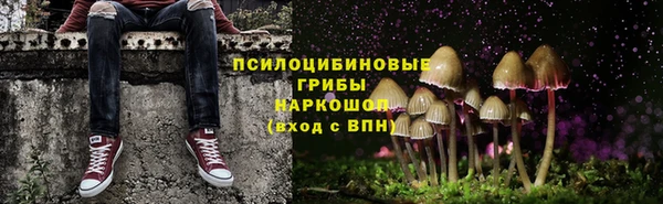 бошки Вязьма