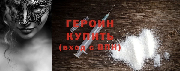 индика Вяземский