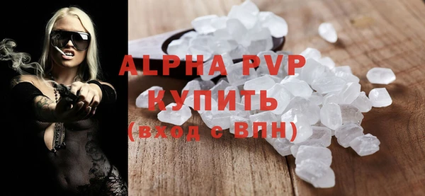 индика Вяземский